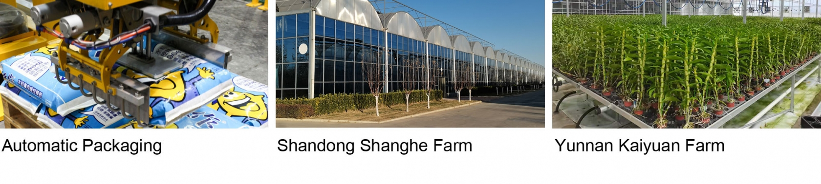 China company